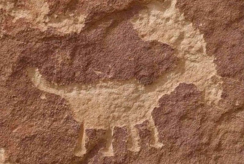 Experience Hopi Tours