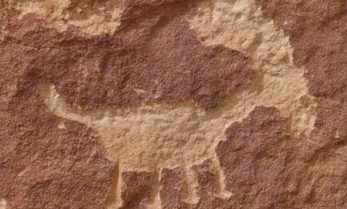 Experience Hopi Tours