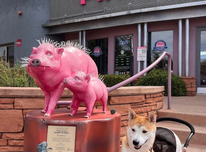 Pink Adventure Store
