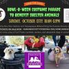 Humane Society of Sedona
