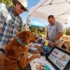 Sedona WagFest & Fair