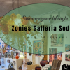Zonies Galleria