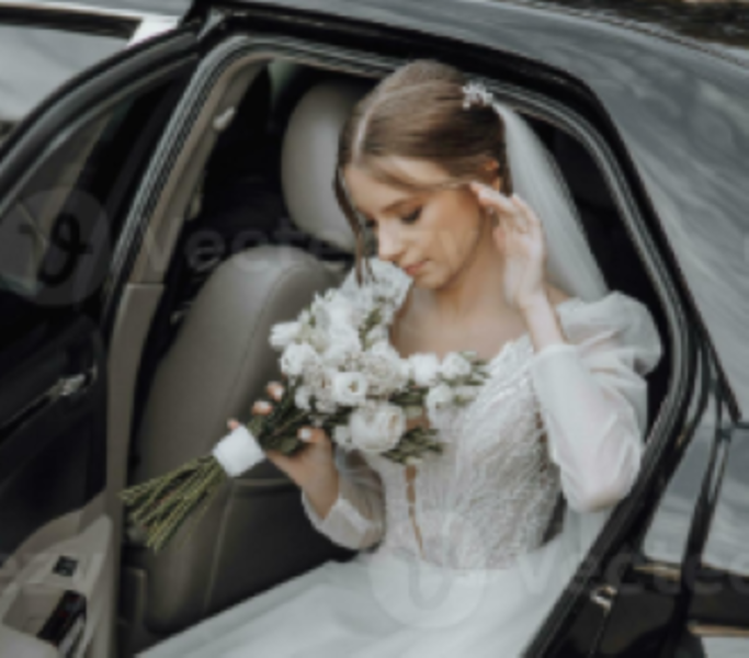 Jet Limousines Sedona