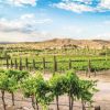 Verde Valley Wine Consortium