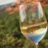 Verde Valley Wine Consortium