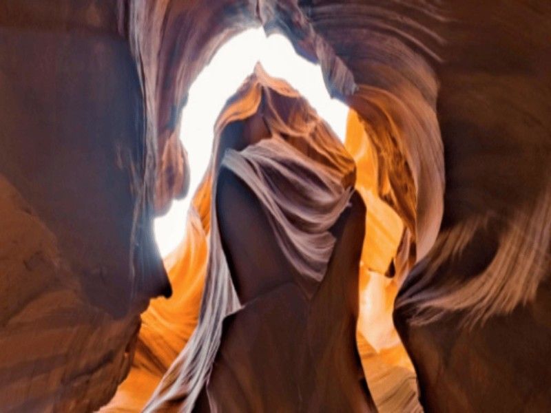 Taadidiin Tours, LLC