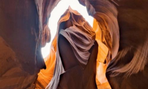 Taadidiin Tours, LLC