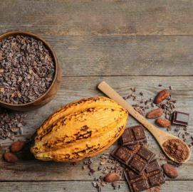 Cacao-image caa1daee-b004-4f93-9bfdd696b31d97d5 3fae08af-1689-40c3-99d96784453c992c