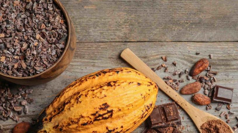 Cacao-image caa1daee-b004-4f93-9bfdd696b31d97d5 3fae08af-1689-40c3-99d96784453c992c