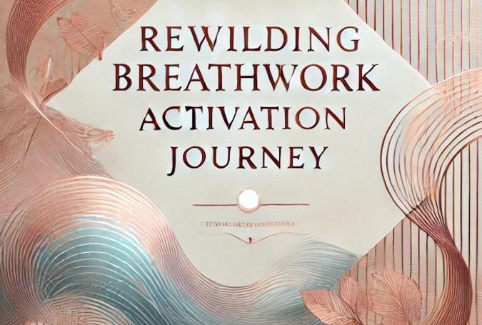 Screenshot 2025-01-30 132521