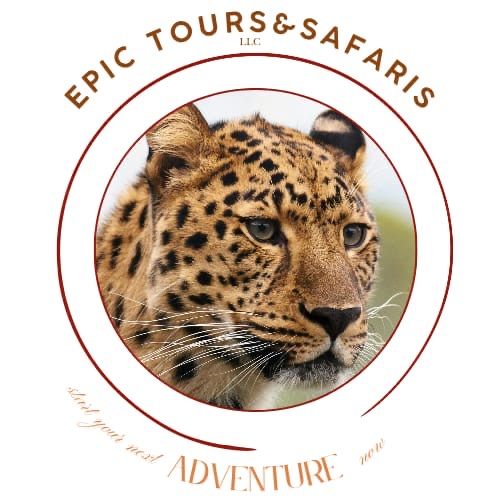 Epic Tours and Safaris