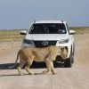 Epic Tours and Safaris