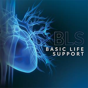 Bls logo