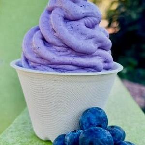 The Cheeky Kiwi Ice Cream Company