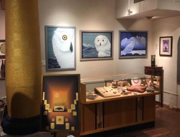 Avian ancestors owl raven whr gallery photo