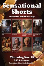 Sensational-shorts-2025-poster