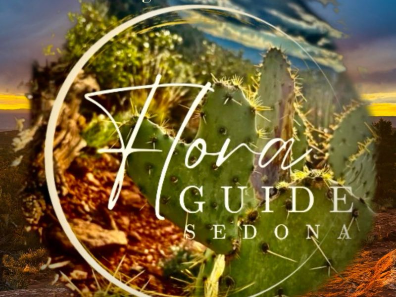 Flora Guide