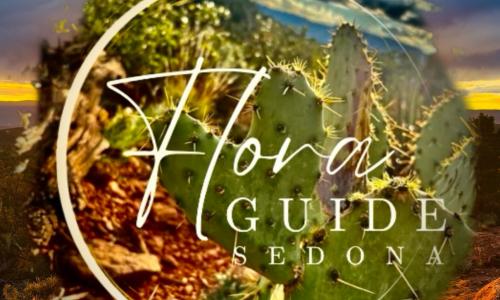 Flora Guide