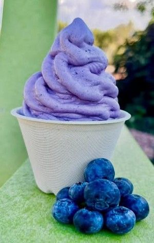 The Cheeky Kiwi Ice Cream Company