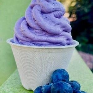 The Cheeky Kiwi Ice Cream Company