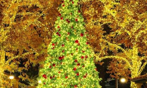Sedona Tree Lighting and Santa Visit