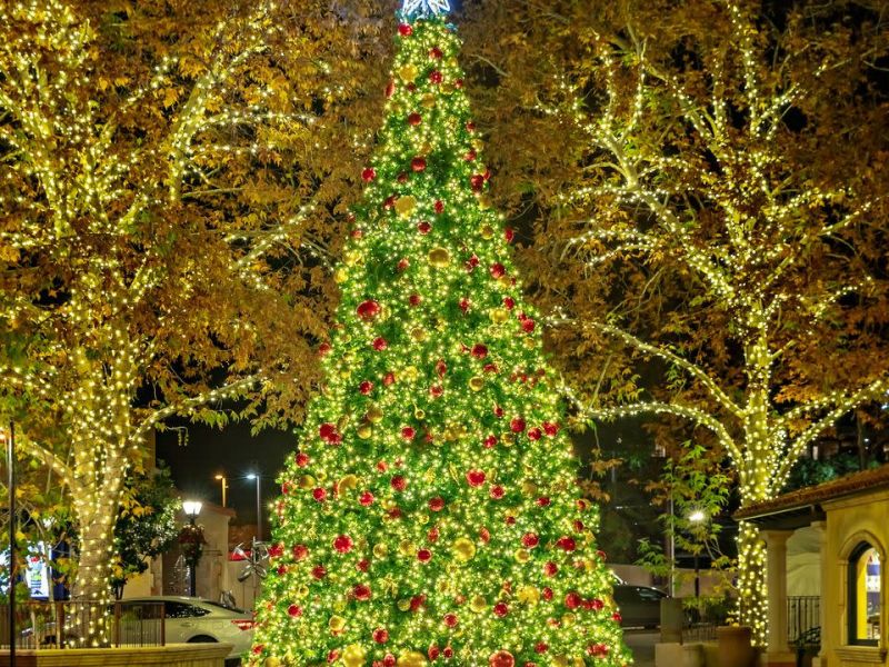 Sedona Tree Lighting and Santa Visit