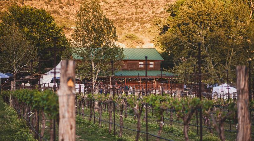 Sipandwinefest2025-177