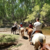 Trail Horse Adventure LLC