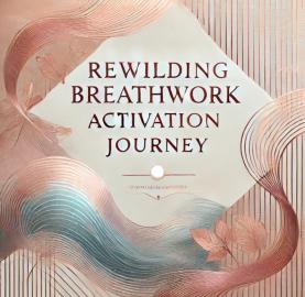 Screenshot 2025-01-30 132521