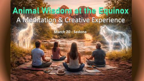 Animal wisdom sedona equinox