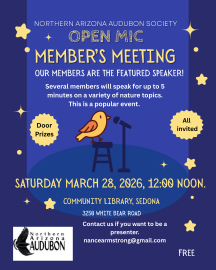 MemberYs meeting 2026