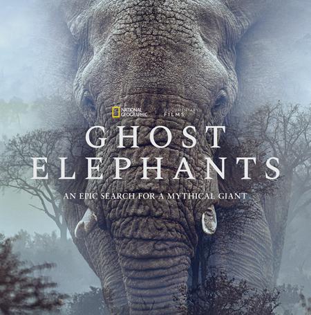Ghost-elephants-poster