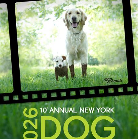 Ny-dog-film-fest-2026-poster