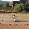Sedona Spirit Journeys & Vortex Tours