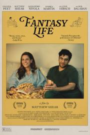 Fantasy-life-poster