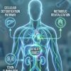 Sedona Detox and Wellness