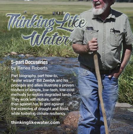 Thinking-like-water-poster-2