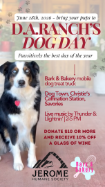 Dog day at d.a. (2)