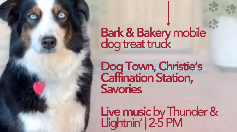 Dog day at d.a. (2)
