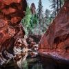 THE JOY SEDONA