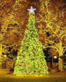 Tree-lighting