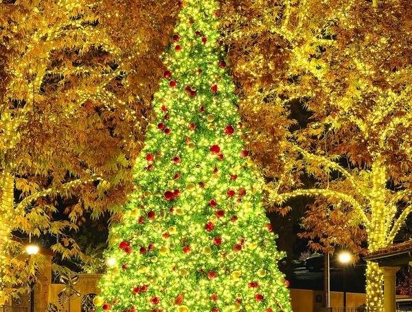 Tree-lighting
