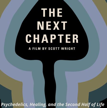 The-next-chapter-poster