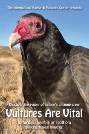 Vultures-are-vital-poster