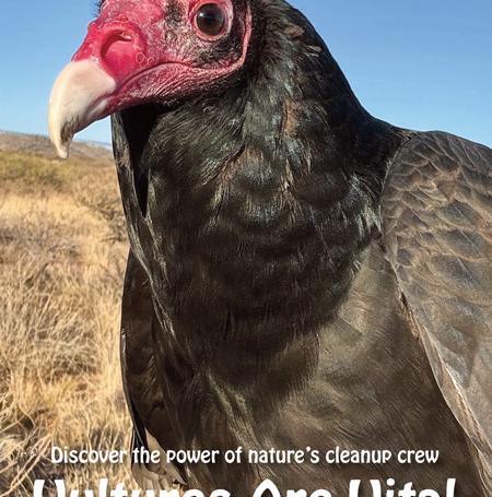 Vultures-are-vital-poster