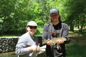 Chase a trout