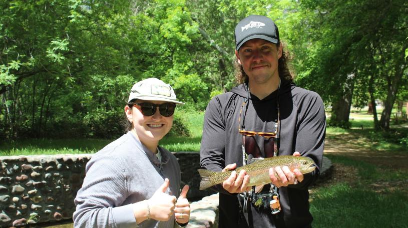 Chase a trout