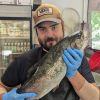 Rainbow Trout Farm/Rainbow Trailer Park/Sedona Bottling Company 