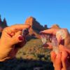 Vortex Yoga Hiking in Sedona