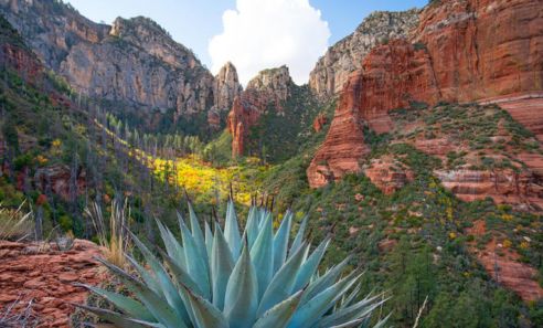Visit Sedona